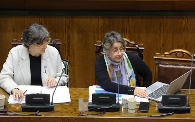 Ministra López expone ante el Senado sobre situación de los Hospitales y los planes de inversiones en salud
