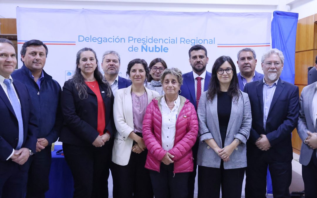 Gabinete Pro Crecimiento y Empleo sesiona en Ñuble y se reúne con privados para agilizar desarrollo de proyectos