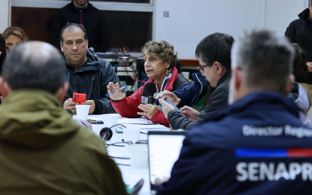 Gobierno se despliega para enfrentar los efectos del sistema frontal desde la región del Biobío