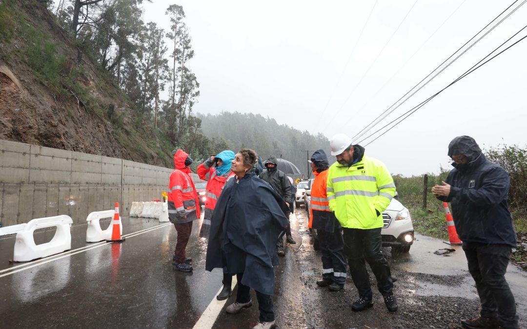 Sistema frontal: Ministra López anuncia suspensión de tránsito en Ruta de La Madera en la Región del Biobío