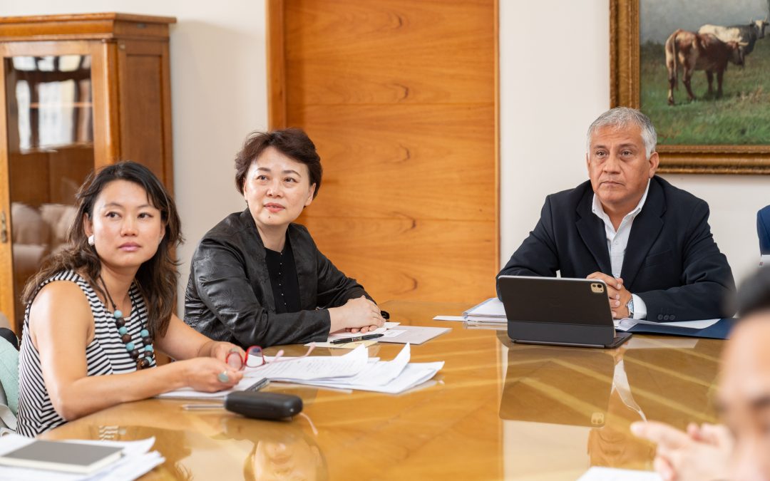 Protección patrimonial: Subsecretario de Obras Públicas y directora nacional de Arquitectura reciben a delegación china