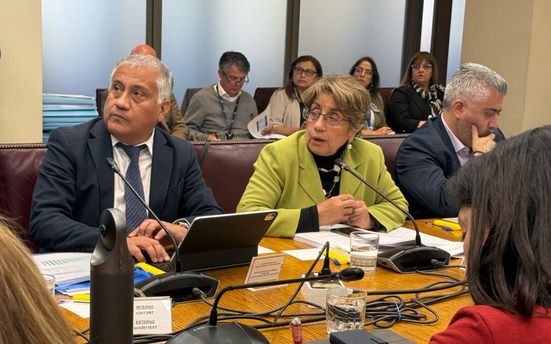 Ministra y subsecretario de Obras Públicas presentan Presupuesto Sectorial 2026 ante Subcomisión Mixta del Congreso