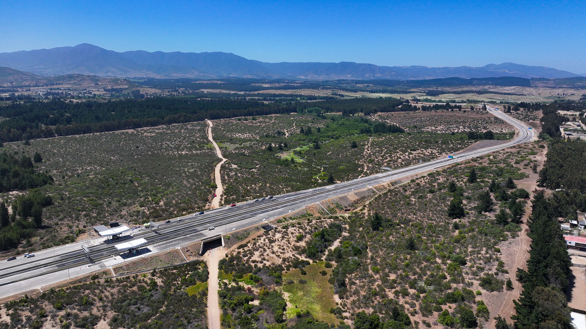 54960049420_1f17429bc3_k (1)