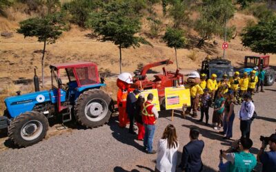 Gobierno despliega histórico plan de casi 5 mil km de cortafuegos para prevenir incendios forestales