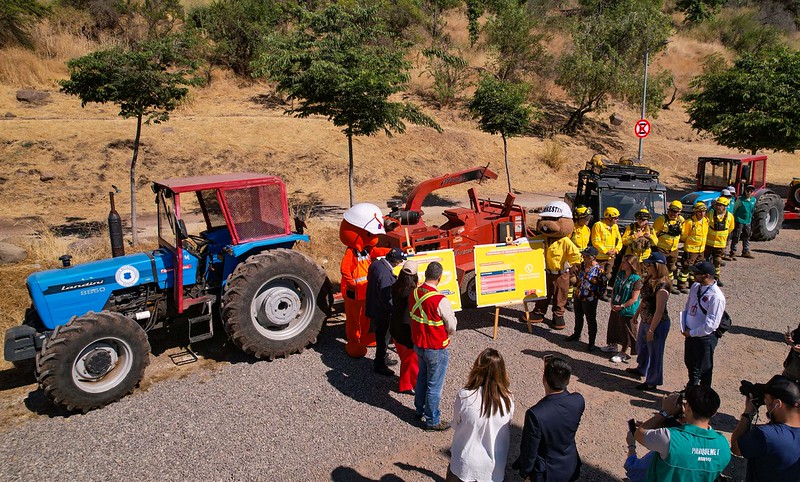 GOBIERNO PLAN DE CORTAFUEGOS 4