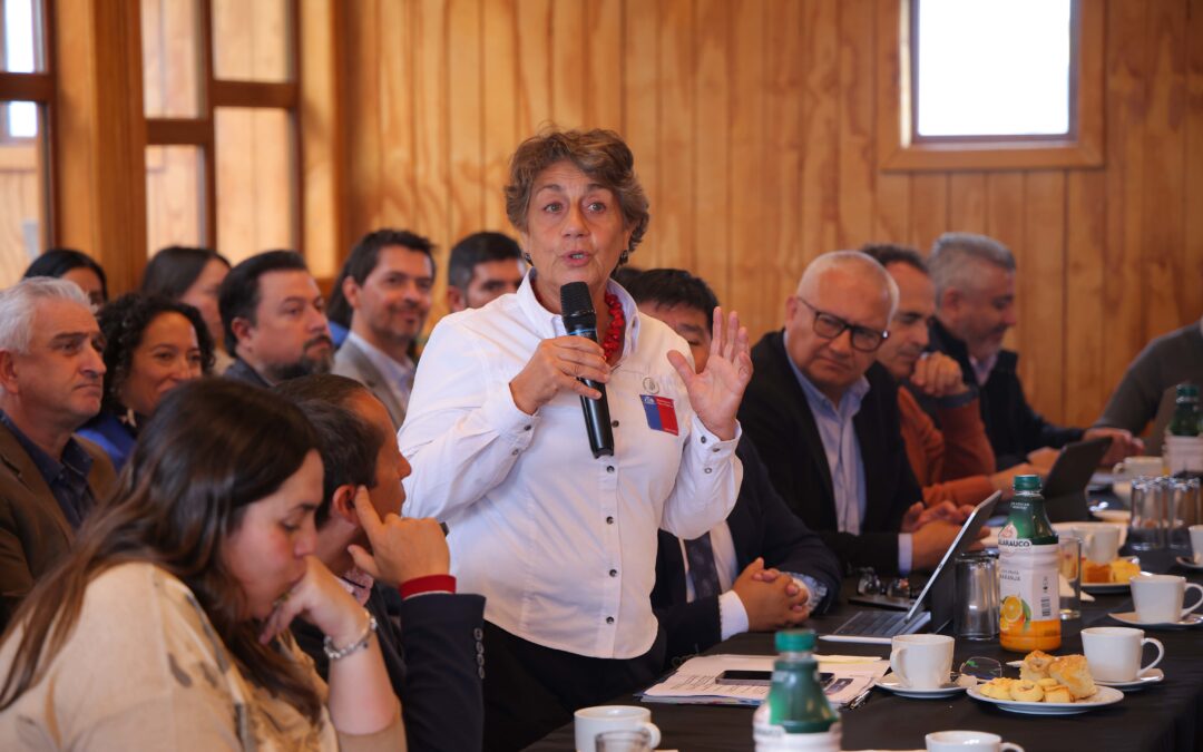 MOP anuncia inicio de las expropiaciones para poder concretar ansiada ruta doble vía al aeropuerto El Tepual