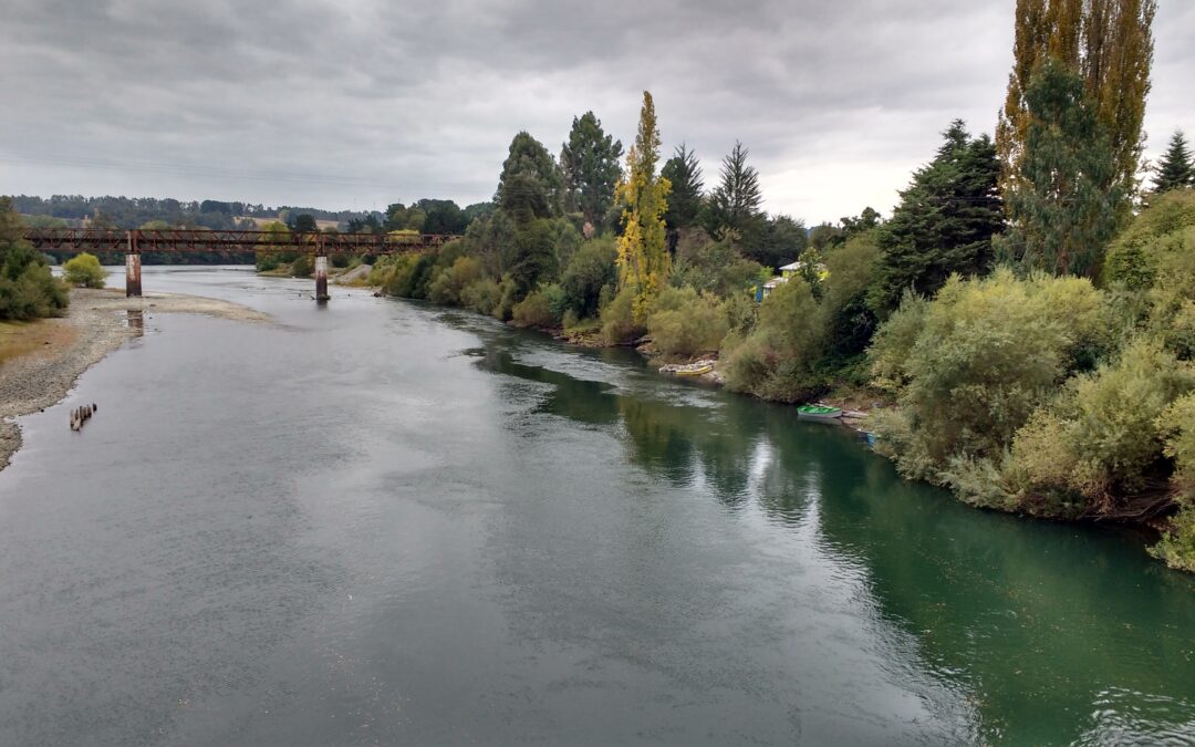 A más de 397 mil millones de pesos asciende el monto identificado a pagar en patentes por no uso de aguas